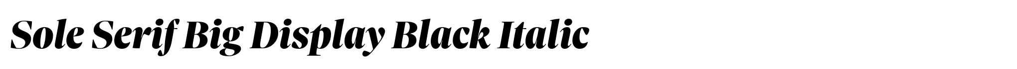 Sole Serif Big Display Black Italic image